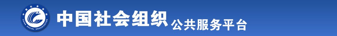 国产操骚b全国社会组织信息查询